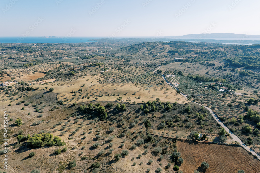 Road through olive groves on the mountain slopes. Greece. Drone