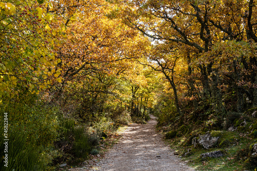 Tejeda de Tosande. Fuentes Carrionas Natural Park  Fuente Cobre- Palentina Mountain. Palencia   Spain