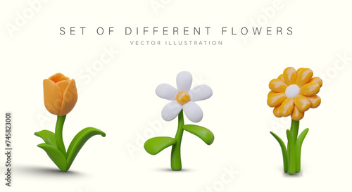 Set of different vector flowers in plasticine style. White chamomile, dandelion, yellow tulip