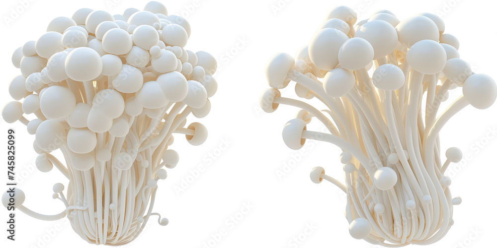 set of enoki mushroom isolated on transparent background set of enoki mushroom isolated on transparent background