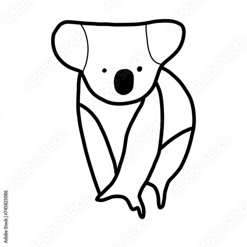 Photography oceania natural animal koala