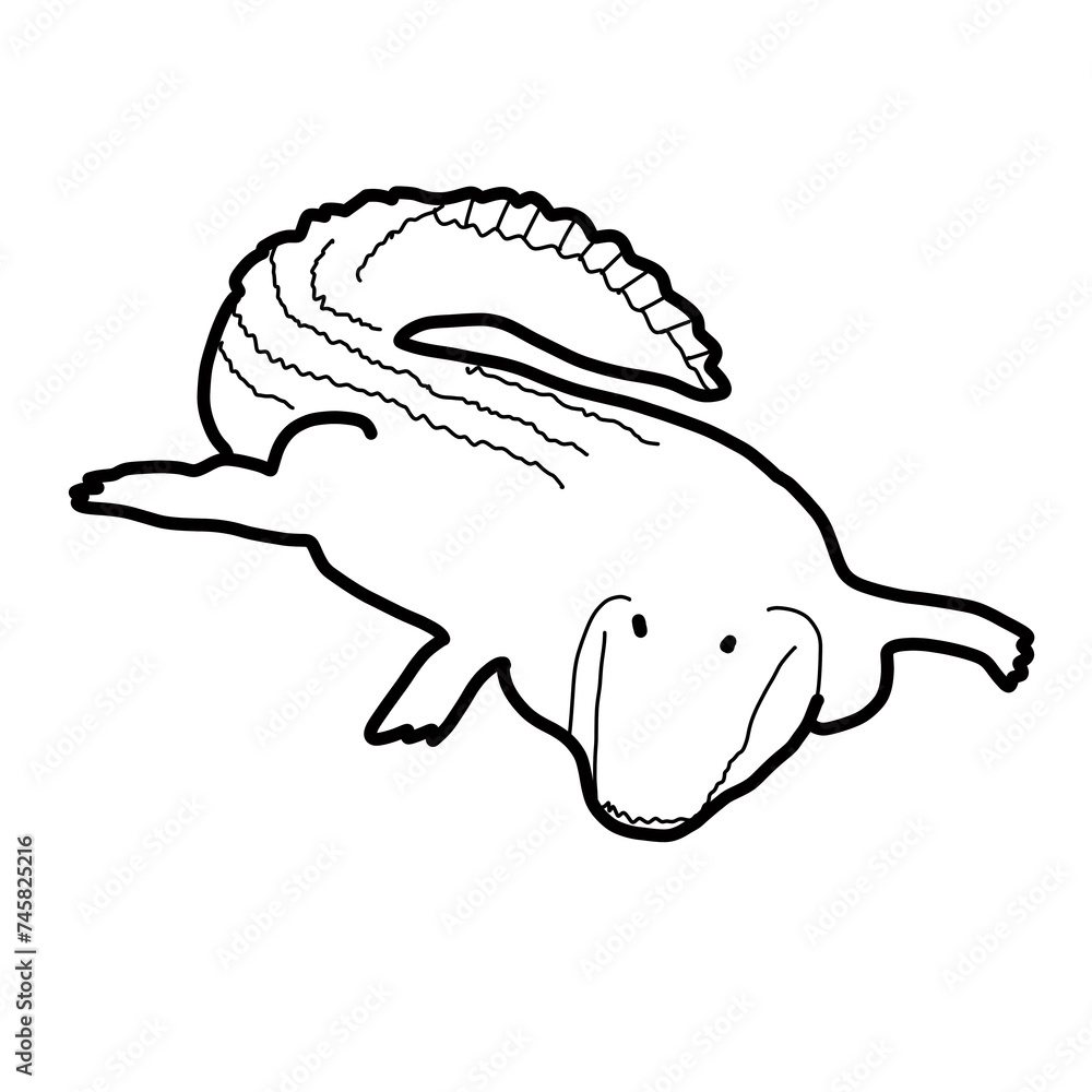 oceania natural animal seawater crocodile oceania natural animal seawater crocodile