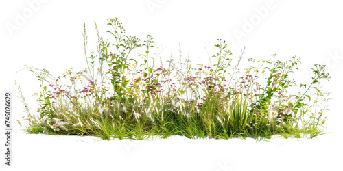 a bush made with grass and wildflowers isolated on transparent background
