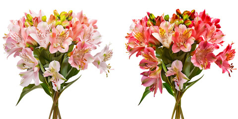 summer season flowers bouquet made with  Alstroemeria , isolated on transparent background