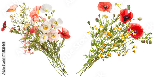 summer season flowers bouquet made with Poppy isolated on transparent background