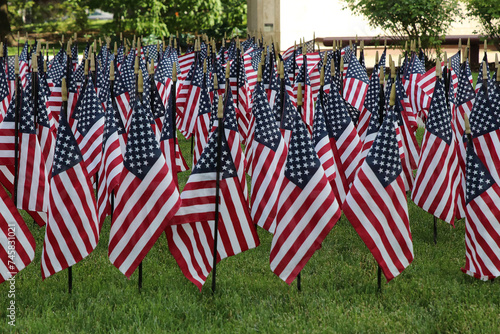 Columbus Ohio  May 29, 2023 Memorial Day flags adorn the  Ohio State House lawn.