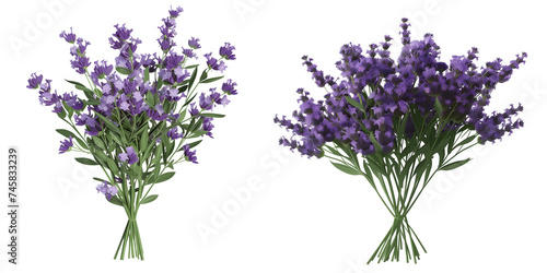 bouquet of lavender flowers  isolated on transparent background