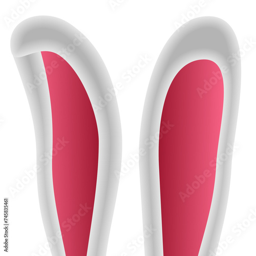 ears rabbit  on white background. Vector illustration