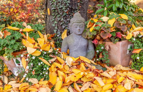 buddha statue leaning at old tree in the autumn garden photo
