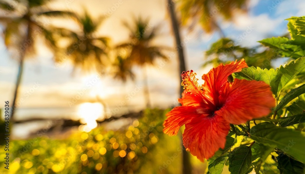 Elegant day, southern island, tropical (blurred and easy to use background material)