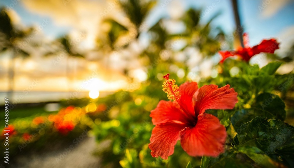 Elegant day, southern island, tropical (blurred and easy to use background material)