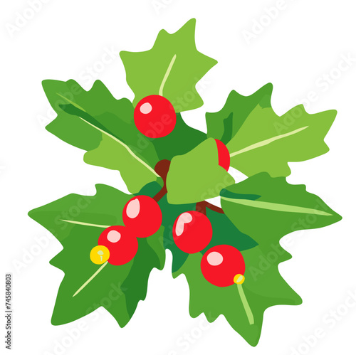 holly berries and leaves