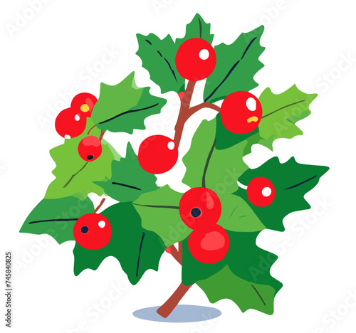 christmas holly berry