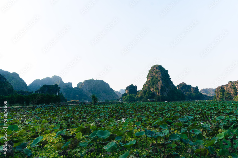 Obraz premium Sunset Views of Dam Sen Hang Mua with mountains and rice fields in the forground