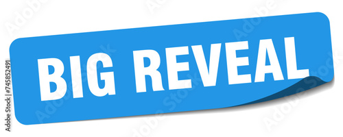big reveal sticker. big reveal label
