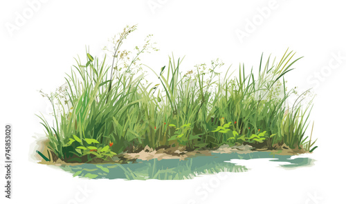 marsh vegetation set isolated vector style with transparent background illustration