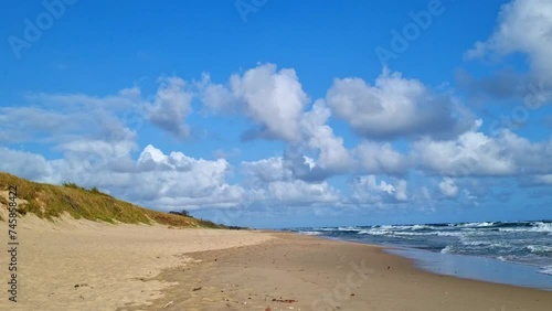 A sandy beach stretches alongside the ocean, with gentle waves rolling in under a cloudy blue sky. The sound of seagulls can be heard as they soar overhead. Palm trees sway in the breeze, while beachg photo