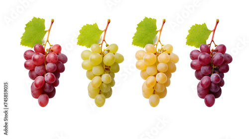 Grape Collection: Realistic 3D Digital Art Illustrations Isolated on Transparent Background, Perfect for Graphic Design Projects and Fresh Fruit Concepts.