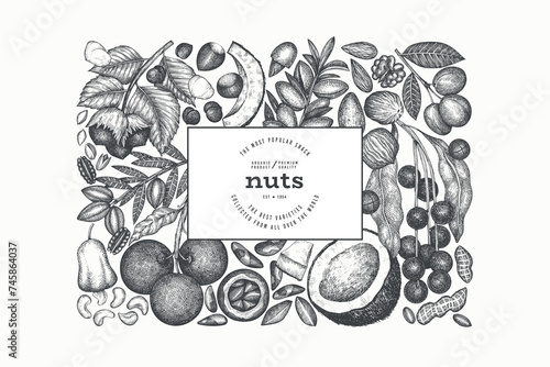 Hand Drawn Nuts Branch And Kernels  Template. Organic Seed Vector Design. Retro Nut Illustration. Engraved Style Botanical Banner. photo