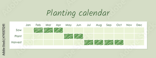 planting calendar, monthly planner for gardening, sow, plant and harvest guide, vector table