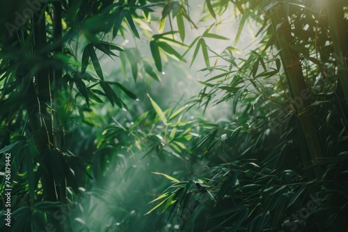  A dense bamboo forest with light streaming through the leaves peaceful and green nature landscape