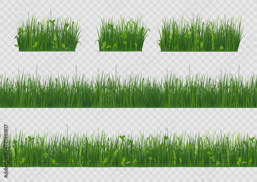 Spring grass. 3d field vegetation, fresh green line lawn meadow, park landscape farm bar or border for ecology banner. Realistic natural environment. Summer herbal plants. Vector isolated set
