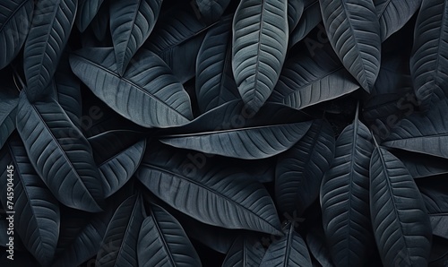 Close-Up of Lush Green Leaves