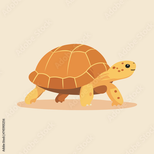 flat turtle illustration cartoon style