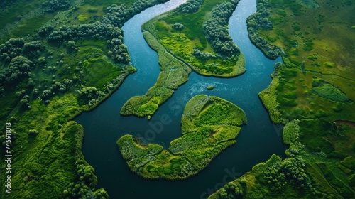 Aerial View of Vast River Delta: Vibrant Green Vegetation Along Meandering Waterways