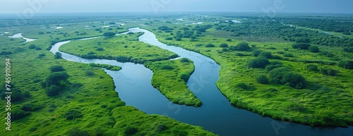 Aerial View of Vast River Delta: Vibrant Green Vegetation Along Meandering Waterways