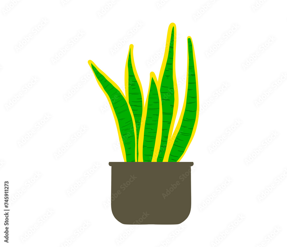 plant in pot plant in pot
