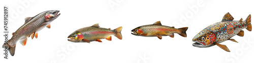 Four different artistic interpretations of rainbow trout, showcasing natural and imaginative designs, isolated on a transparent background.