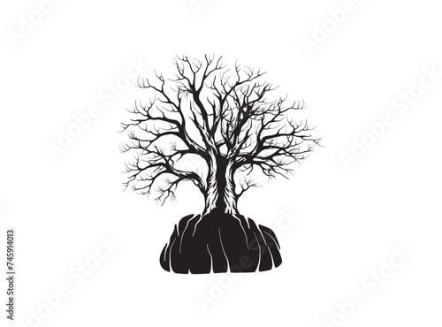 old dry tree growing on a rock, bonsai tree