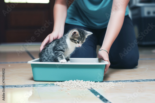 owner teaching kitten to use litter box