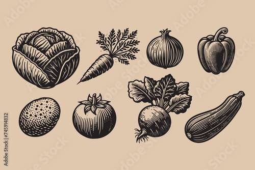 Vegetable set. Vintage old engraving illustration. icons. Cabbage, carrots, onions, bell peppers, potatoes, tomatoes, beets, zucchini. Hand drawn
