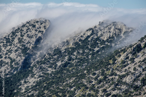 fog over Sierra de Cuber, Fornalutx, Mallorca, Balearic Islands, Spain photo