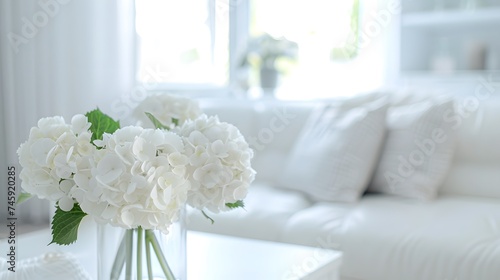 Modern white living room interior with sofa  furniture and flowers. Blurred bright living room with sofa and flowers. wide panorama  use for background. 