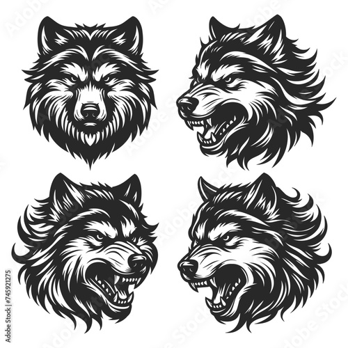 Vector set of vintage wolf head in white background