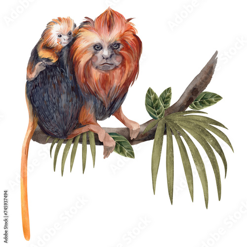 A monkey and her baby are sitting on a tree branch, tropical leaves. Watercolor illustration. Isolate