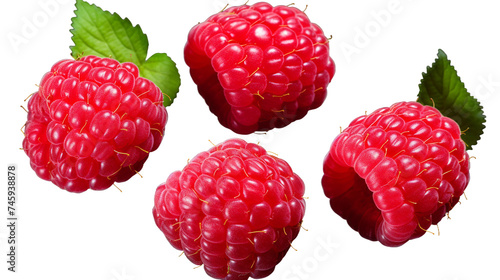 Raspberries Collection: Vibrant, Juicy Fruit Over Transparent Background - Organic Berry Snack & Dessert Ingredients