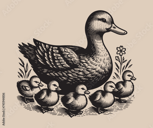 Duck with ducklings. Old vintage engraving illustration. Hand drawn outline graphic. Logo, emblem, icon. Isolated object, cut out. black and white