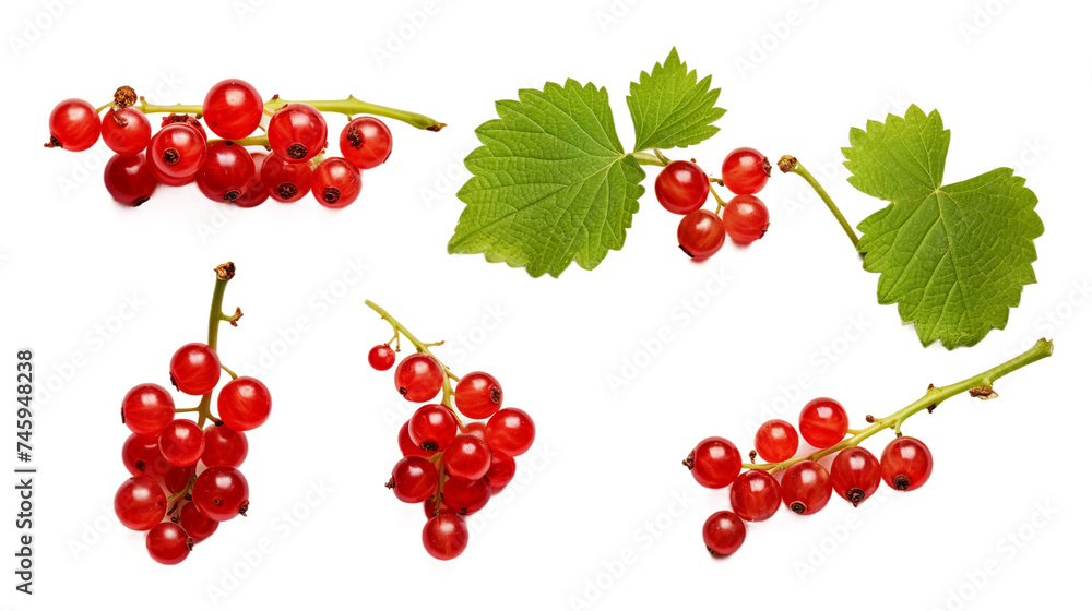 Red Currant Collection: Fresh, Organic Berries Isolated on Transparent Background for Healthy Food Concepts, Top View Nutrition Art