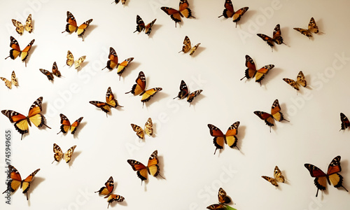 many colorful butterflies on a white wall in a room without windows, ai generated 