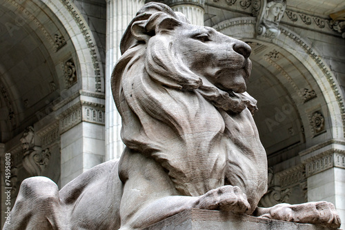 On the right we find the lion Patience, guarding the public library of New York, one of the most important in the world and with the most content in America and the world. photo