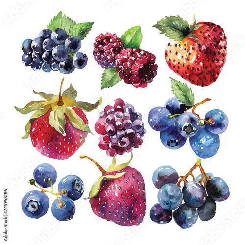 simple vector watercolor set of mix berry fruits