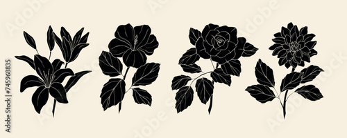 Collection of flat vector lily, hibiscus, rose, dahlia