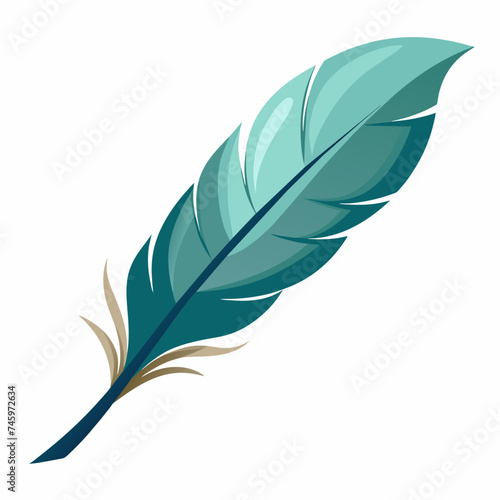 An elegant feather, delicately detailed and isolated. vektor illustation