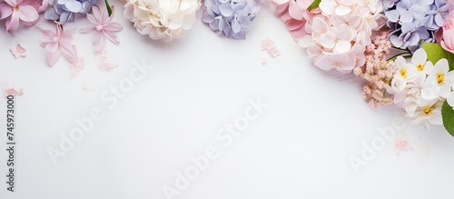 A group of colorful and vibrant flowers arranged neatly on a white surface, showcasing their beauty and freshness.