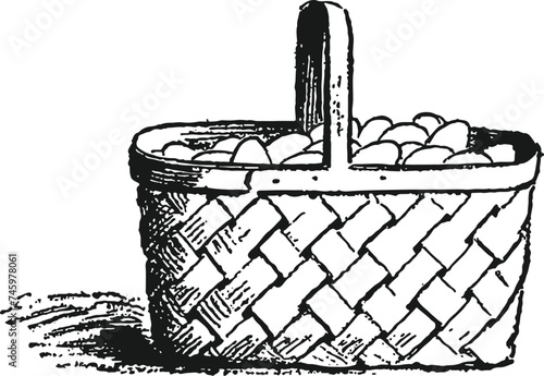 A basket of eggs vintage illustrations