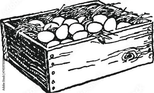 A box of eggs vintage illustrations